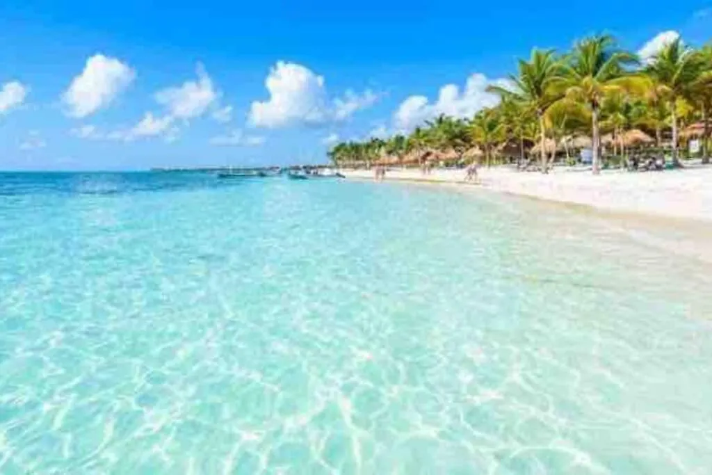 Vive Tus Vacaciones, Depa Nuevo Playa Del Carmen Apartman
